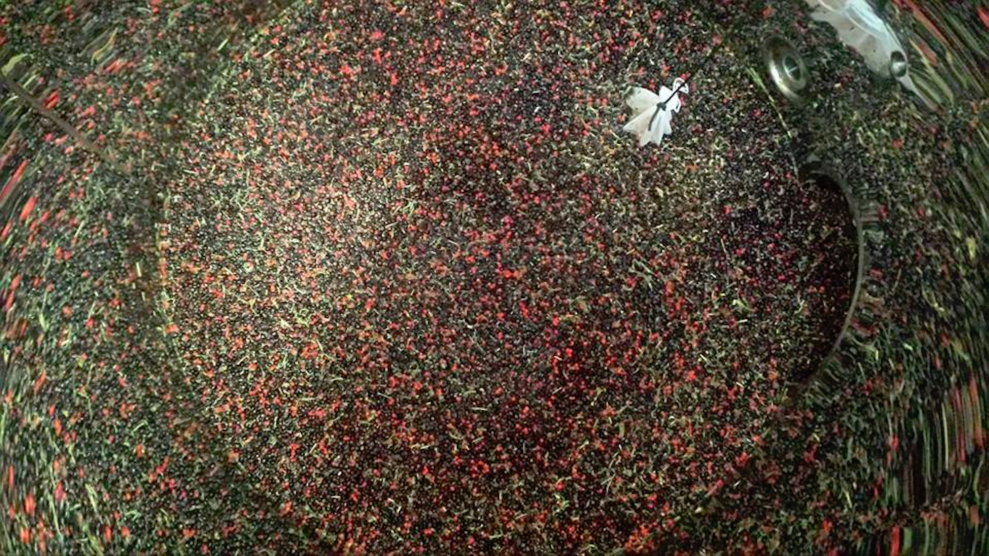 Premium Botanicals